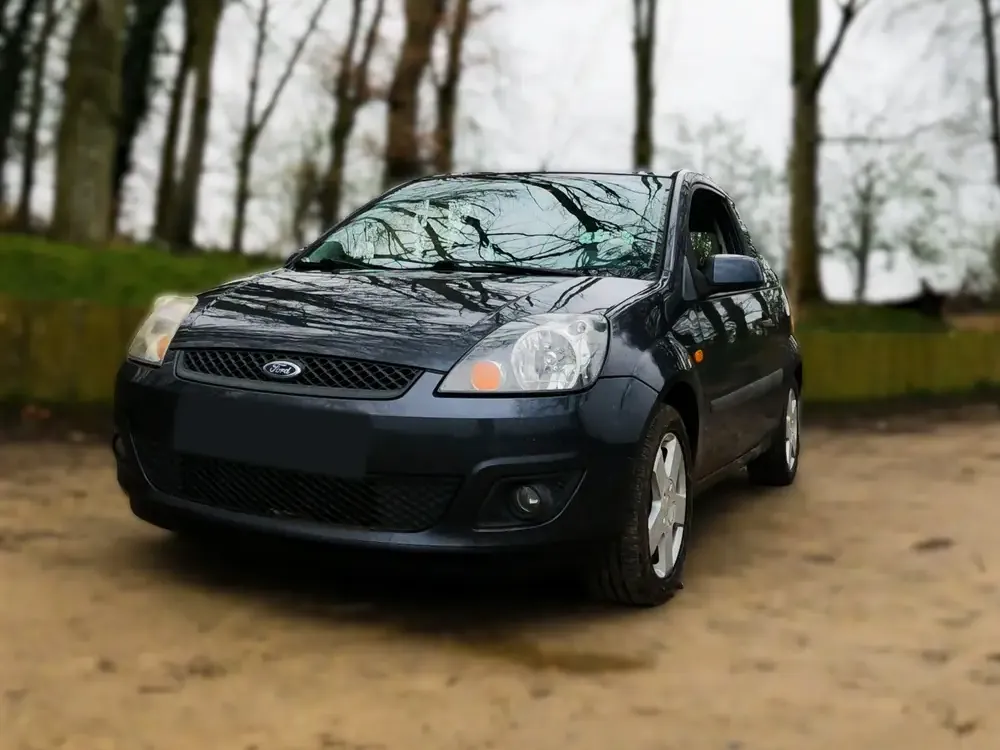 Een donkere Ford Fiesta op een zandpad tussen kale bomen